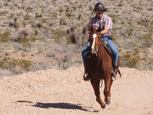 Male rider in western style wearing the Da Brim Equestrian Petite Helmet Brim Visor in chocolate brown while galloping on a horse.
