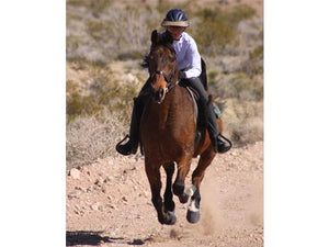Woman galloping on her horse. She is wearing the Da Brim Rezzo helmet visor in tan.