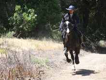 Load image into Gallery viewer, Horse galloping and completely in the air with rider wearing the Da Brim Equestrian Endurance helmet brim visor in black.
