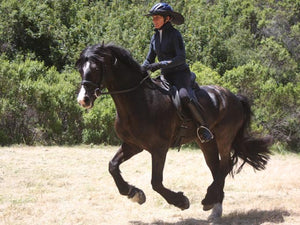 Woman and horse galloping while rider wears the Da Brim Equestrian Endurance helmet brim visor in black.