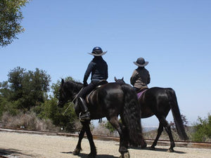 Two riders out for a walk on their horses. Both are wearing Da Brim helmet brim visors.
